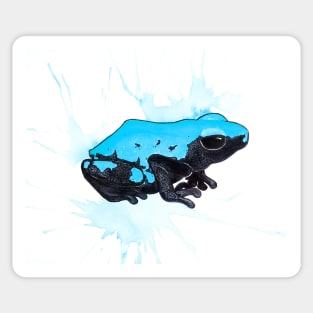 A. Galactonotus "Blue Splash-Backed" Dart Frog Sticker